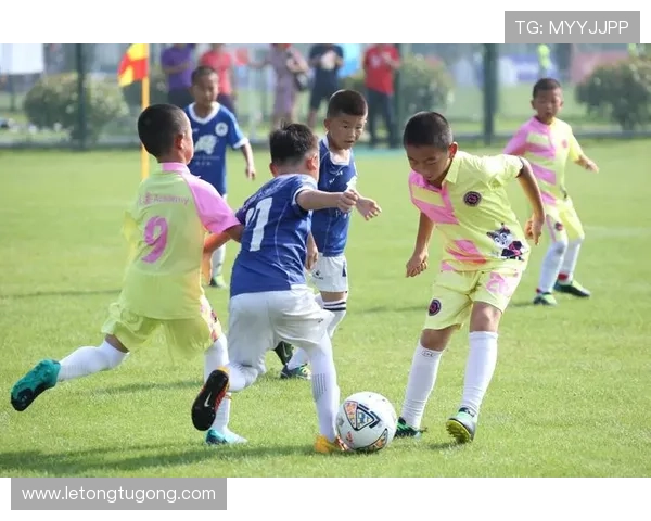 乐竞体育积极参与国家体育政策制定,为青少年体育发展提供专业建议